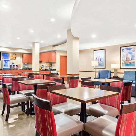 Comfort Suites Tampa Airport North Bagian luar foto