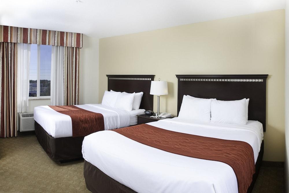 Comfort Suites Tampa Airport North Bagian luar foto