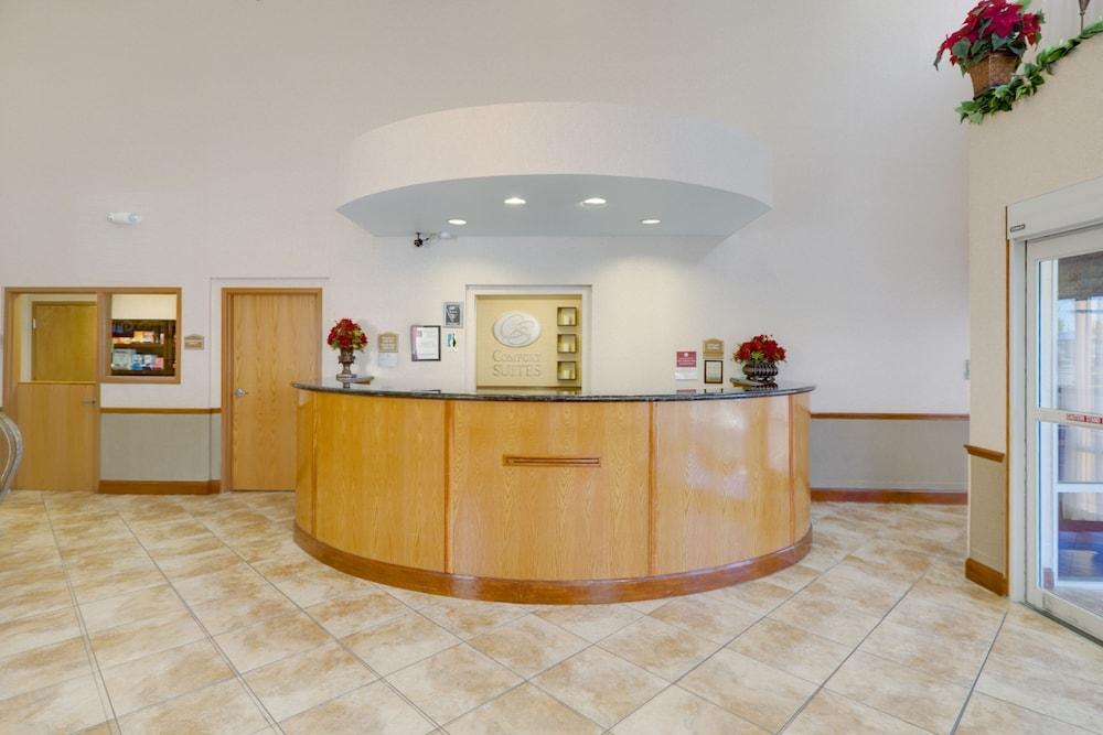 Comfort Suites Tampa Airport North Bagian luar foto
