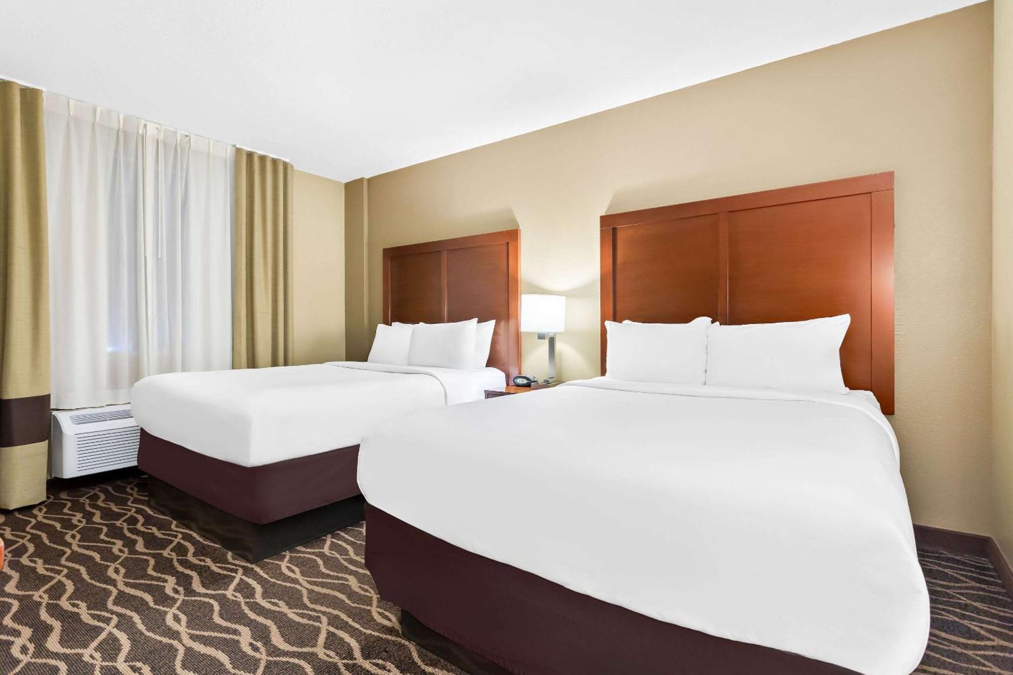 Comfort Suites Tampa Airport North Bagian luar foto