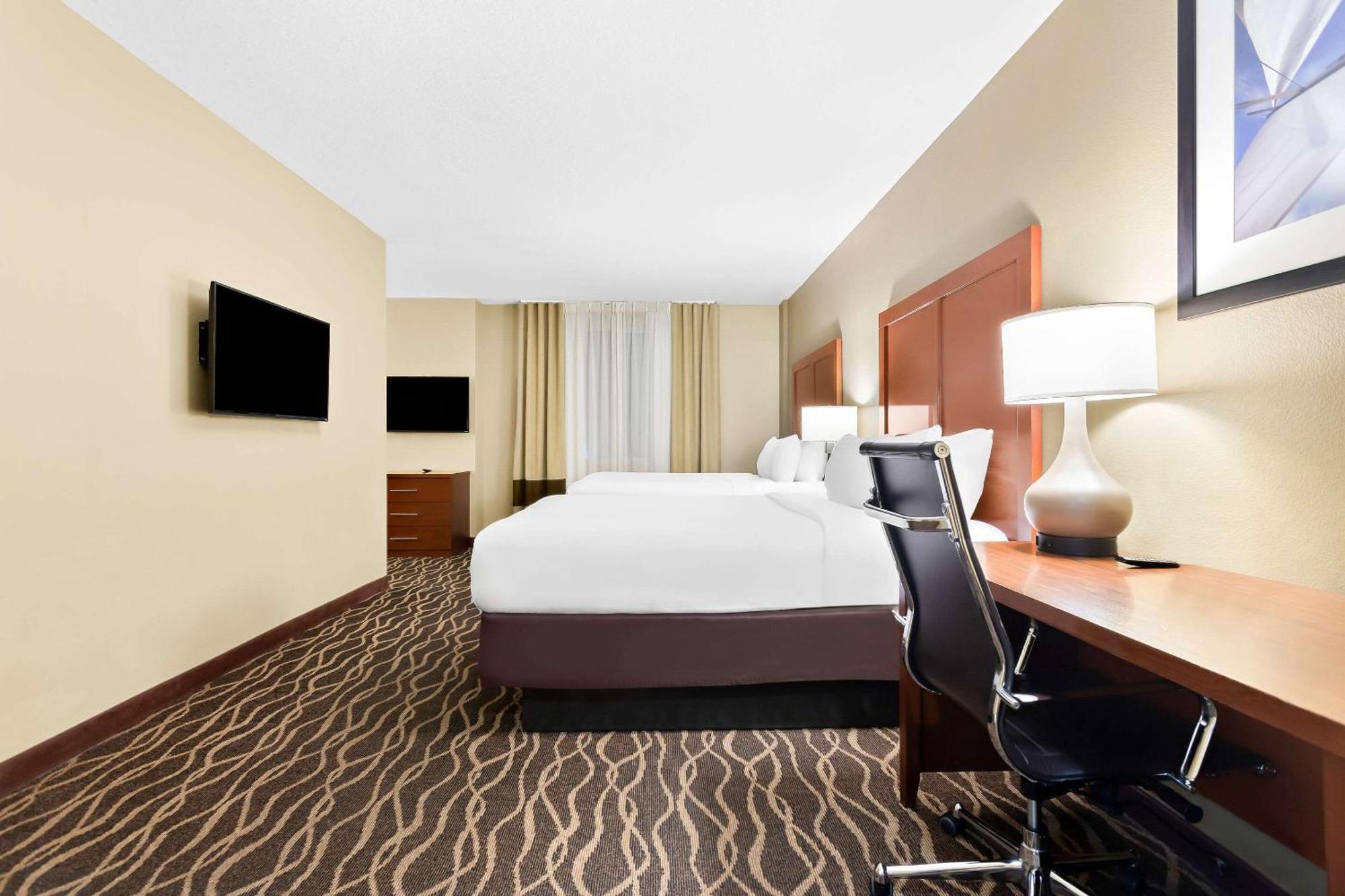 Comfort Suites Tampa Airport North Bagian luar foto