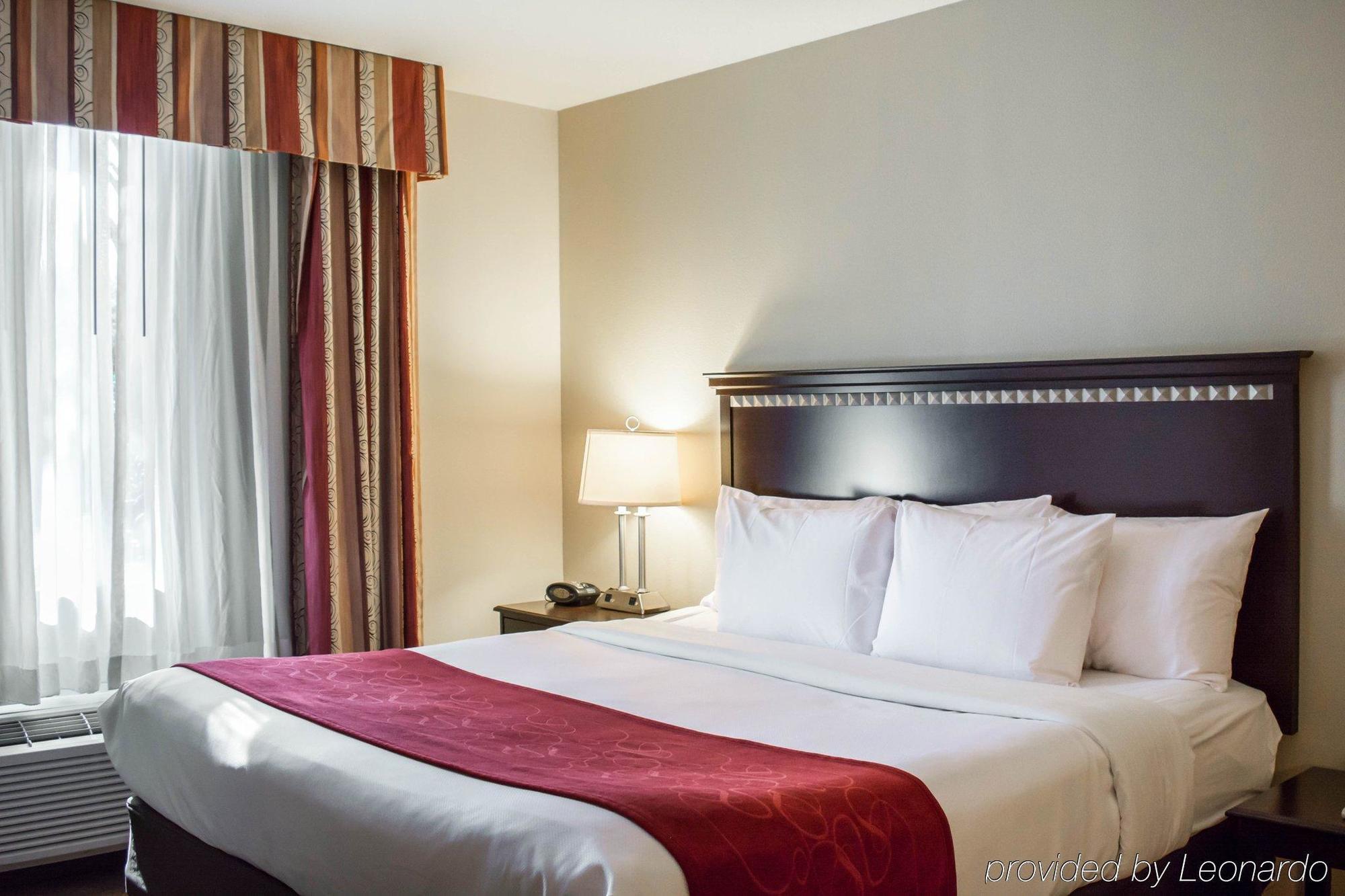 Comfort Suites Tampa Airport North Bagian luar foto