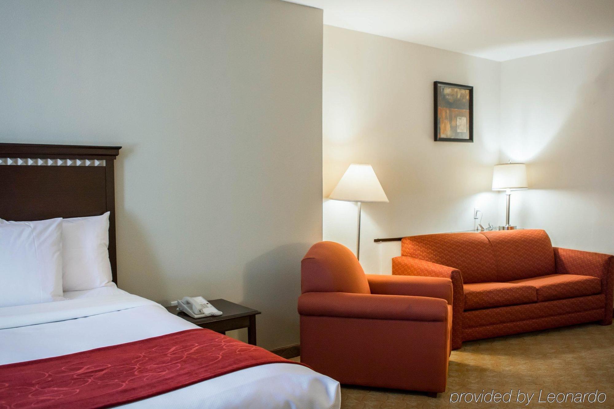 Comfort Suites Tampa Airport North Bagian luar foto