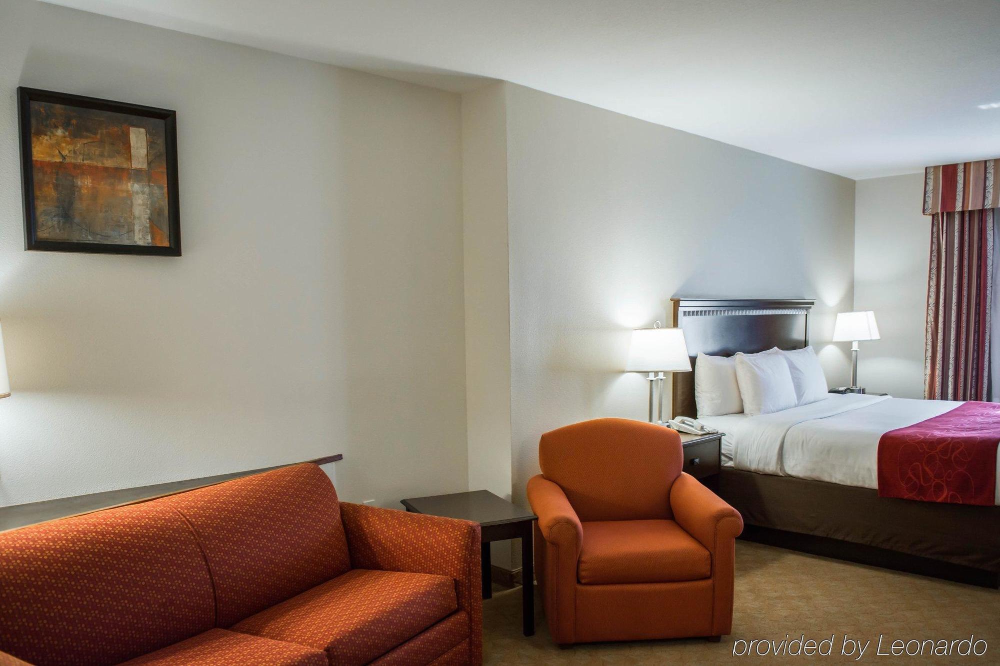 Comfort Suites Tampa Airport North Bagian luar foto