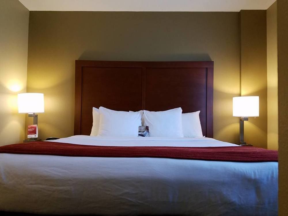 Comfort Suites Tampa Airport North Bagian luar foto